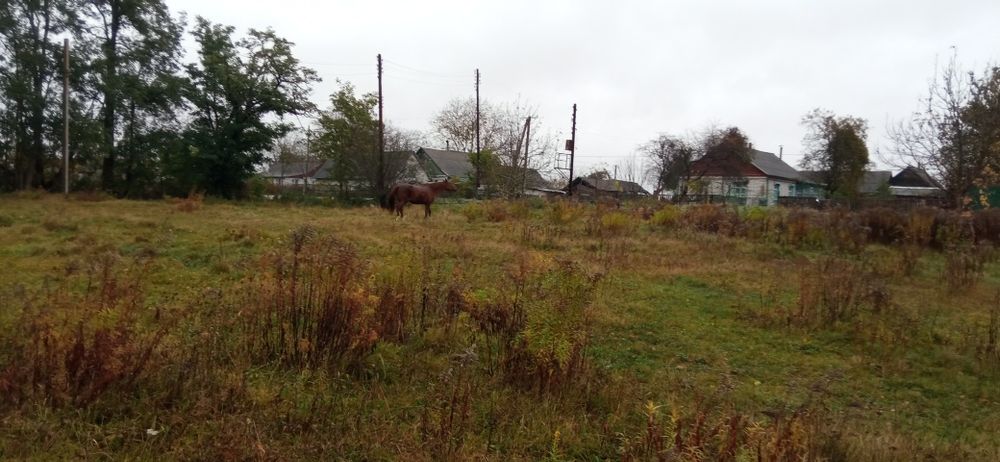 Продається земельна ділянка