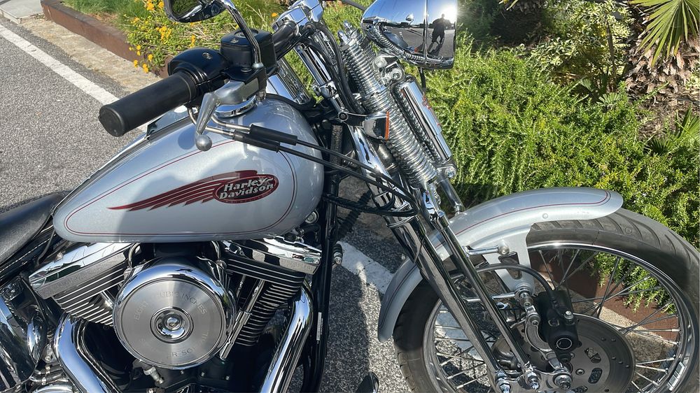 Harley springer 99