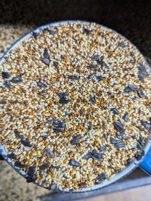 Мішанка для птиці та голубів