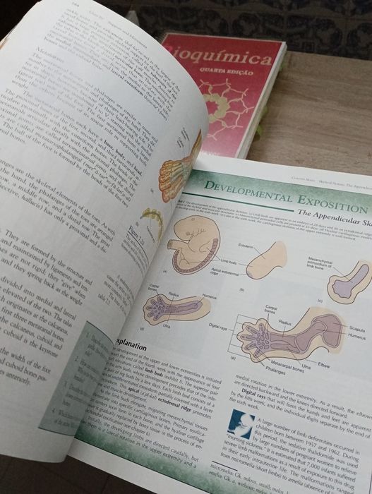 Livro: Human Anatomy – Van De Graaff (5th Edition