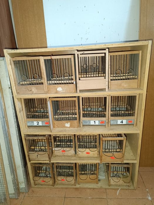 Klatki dla kanarków