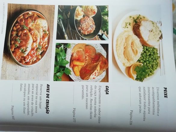 Enciclopédia de culinária