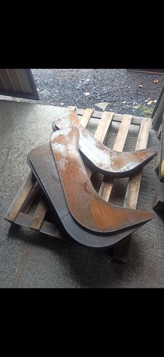 Zab głębosz zrywak