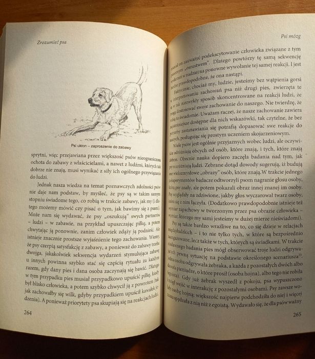 Zrozumieć Psa. Jak być jego lepszym przyjacielem. - John Bradshaw