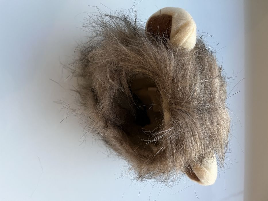 Грива для котика або маленького собачки