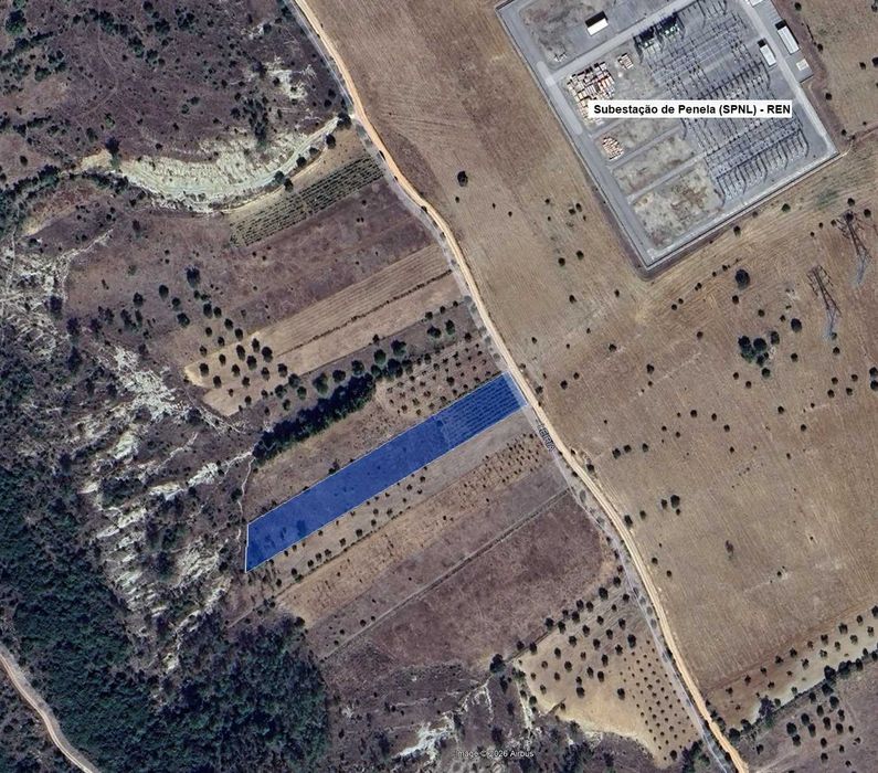 Vinha com Terreno Agrícola