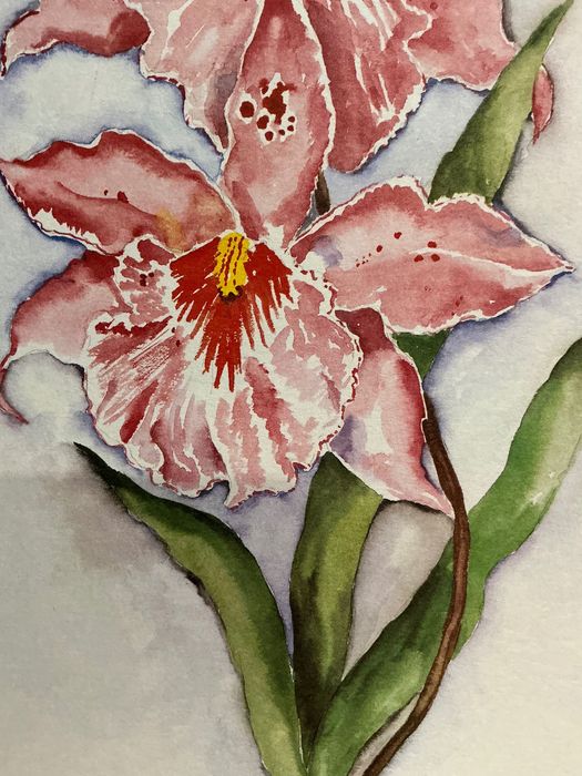 Pintura watercolor 46x34 cm. ANUCIOS anúncios abaixo