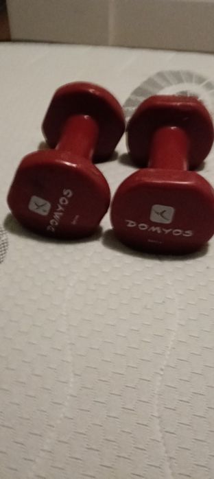 Artigos vários de musculação