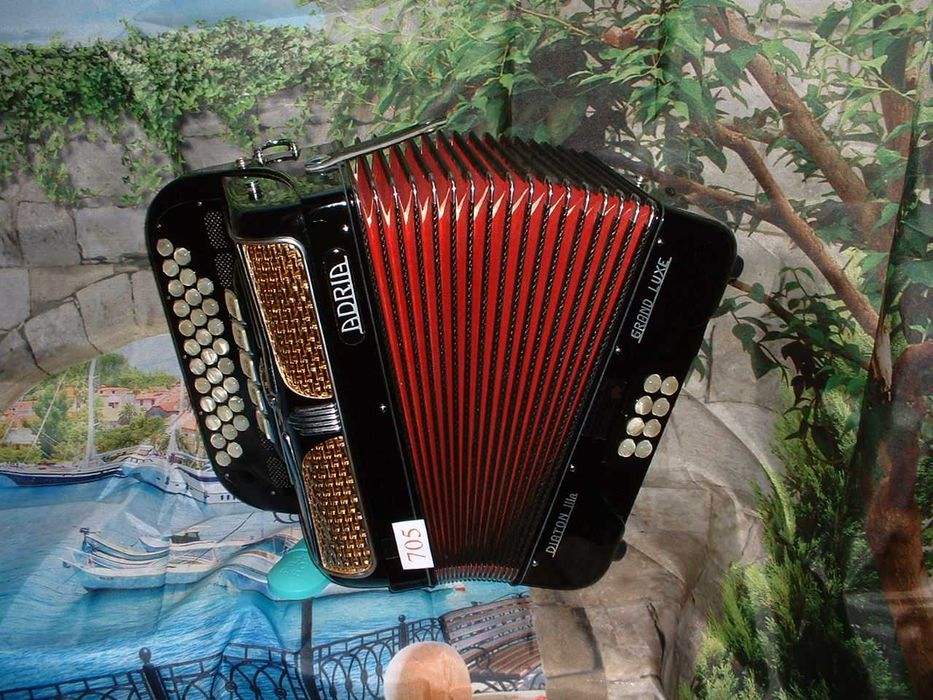 Concertina a venda n.705