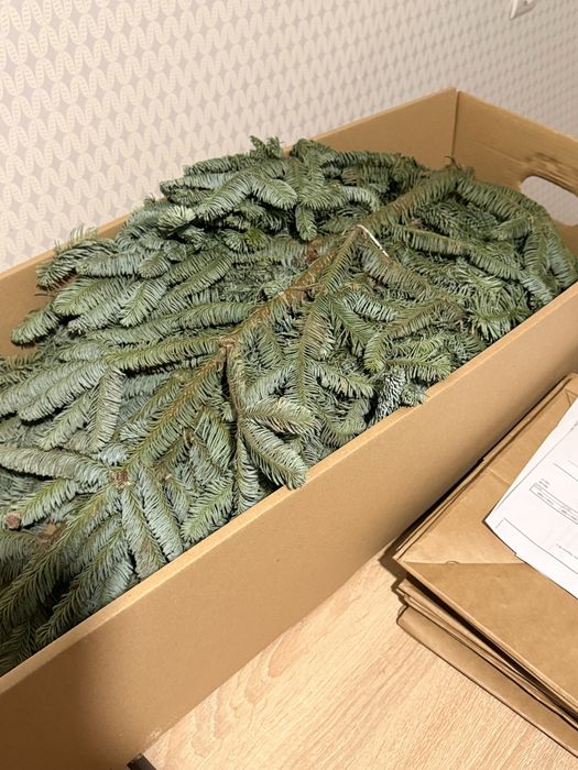 Нобіліс гілки банч або поштучно