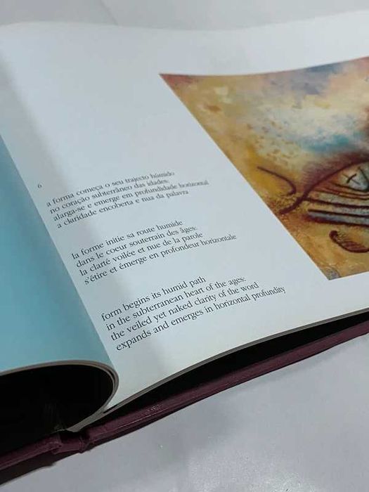 A palavra e a pedra - La pierre lisible