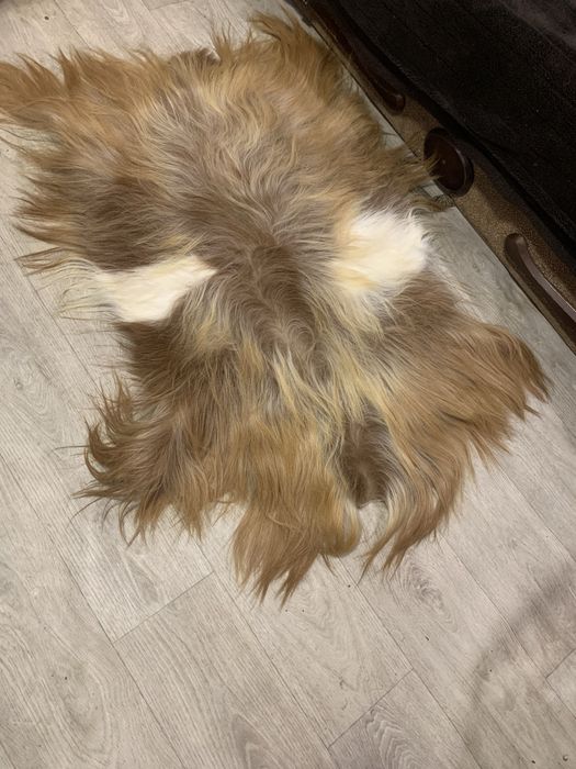 Коврик овечий чи козячий гарний стан