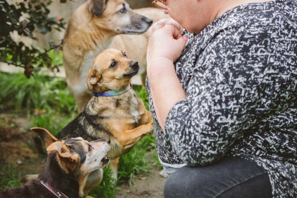 Cudna mała Stasia do adopcji