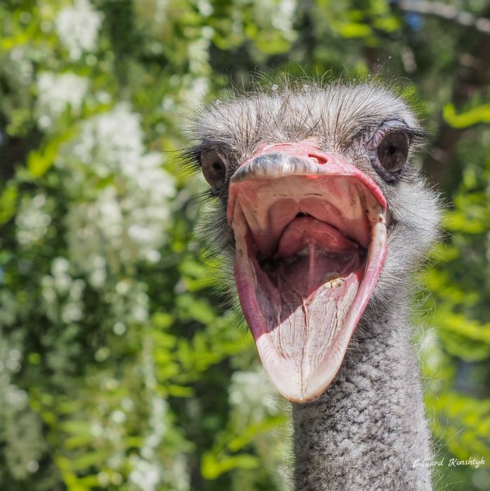 Обьектив M.Zuiko Olympus 12-40/2.8 Pro  micro 4/3 Panasonic под ремонт