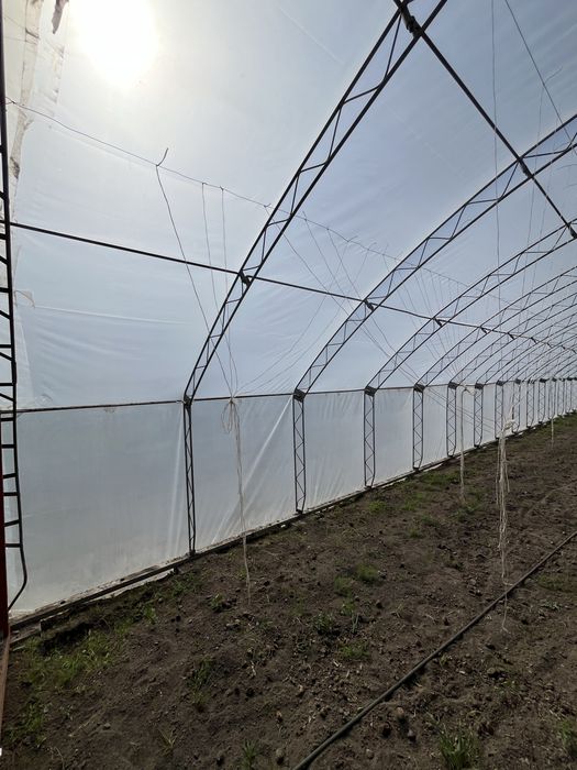 Tunel foliowy 7,5m x31,5m folia 10 sezonowa