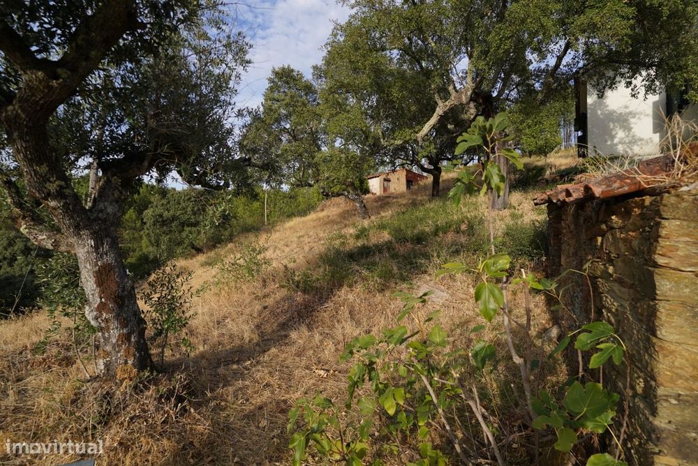 Moradia Rústica T4 Venda em Sarzedas,Castelo Branco