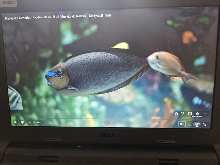 Dell Chromebook 11 3120 / 4GB RAM / 16GB SSD / sprawny / bateria OK