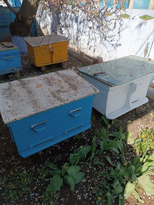 Продам вулики БУ