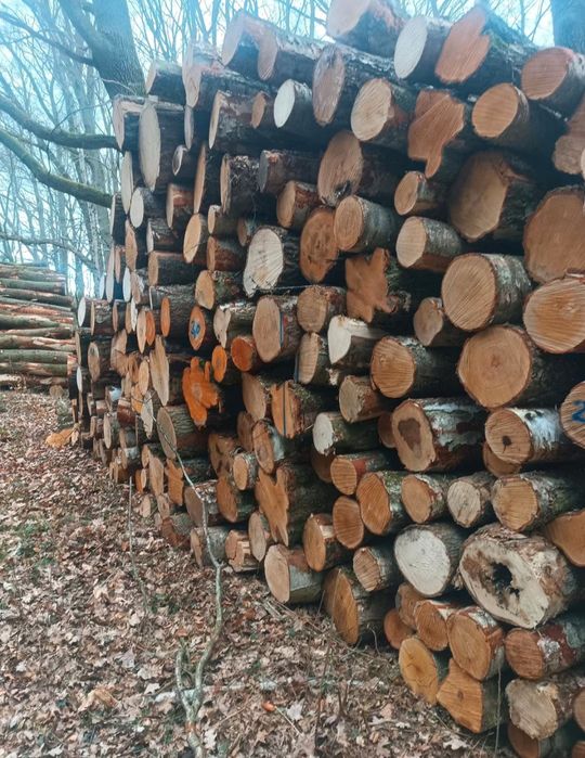 Drewno opałowe brzoza