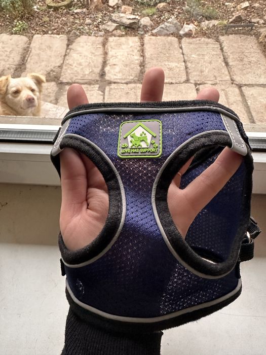 Шлейка для собаки розмір М грудина об’єм 39 см