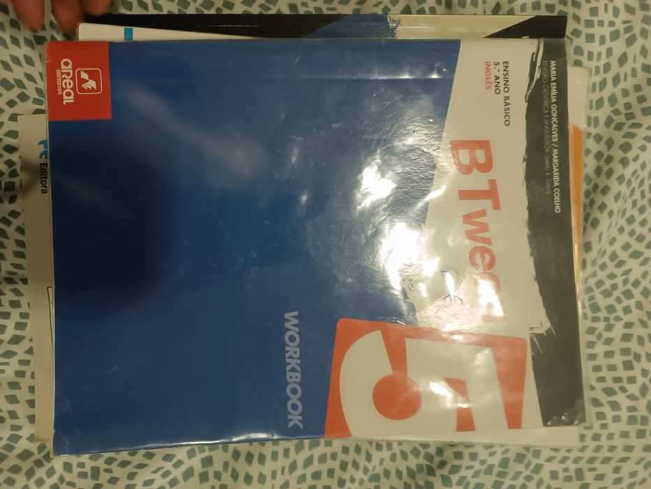 Livros de fichas e de estudo 5 anl