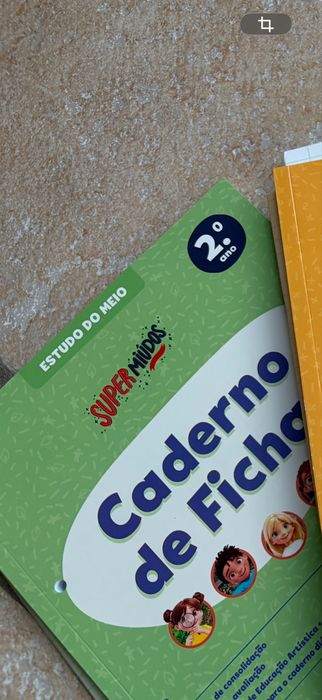 Livros de fichas do 2 ano