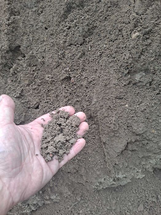 Ziemia ogrodowa, czarnoziem, humus, niesiana, użytkowa, na podniesienie i wyrównanie terenu, sypka, 300 zł za samochód Kraków i okolice