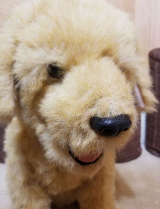 Интерактивная собака Бисквит, Biscuit