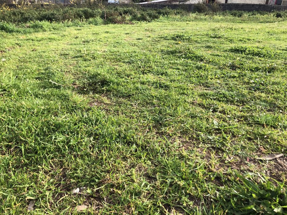 Faço pequenos serviços part time