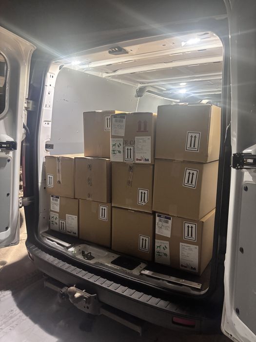 Karpie koi import 2026 - WYSYŁKA Szczecin