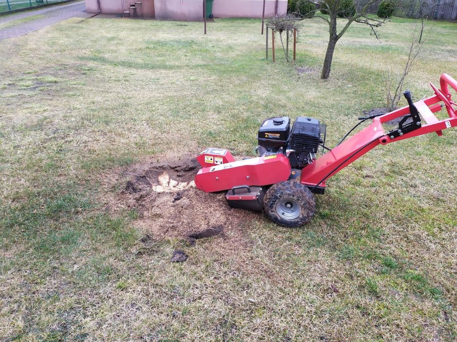 pilarz drwal, wycinka i pielęgnacja drzew