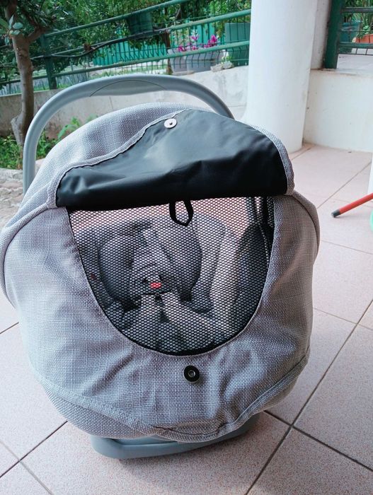 BebeCar Unisex Baby Egg422806386681456645