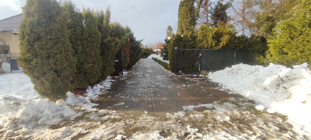 Odśnieżanie chodników, posesji, dachow