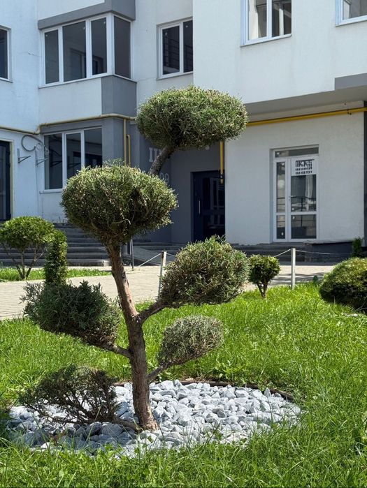 2 кімнатна квартира в Стрию, Шевченка 5 ЖК Престиж Холл