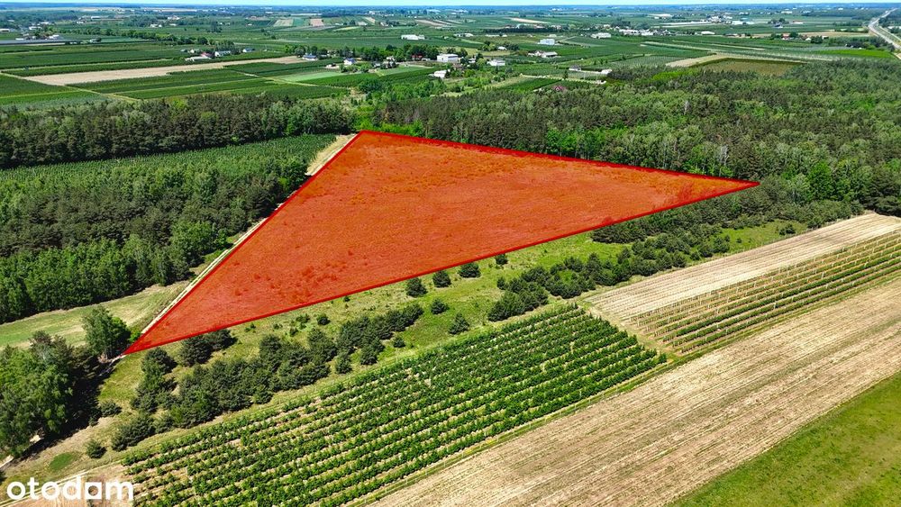 Działka 3,70 ha przy lesie- Żurawka, gmina Biała Rawska - Widok 6