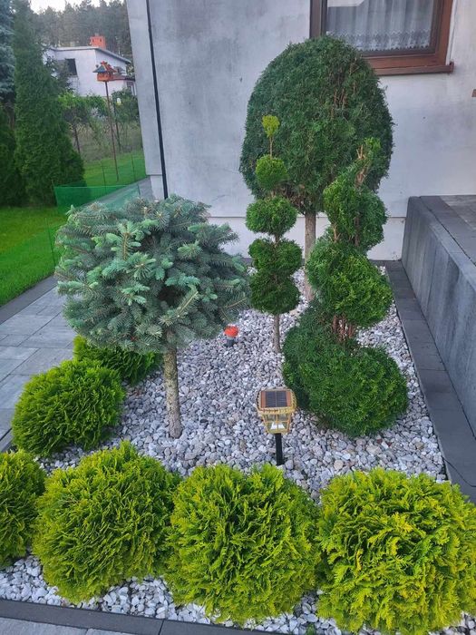 Usługi ogrodnicze. Przycinanie, formowanie roslin.