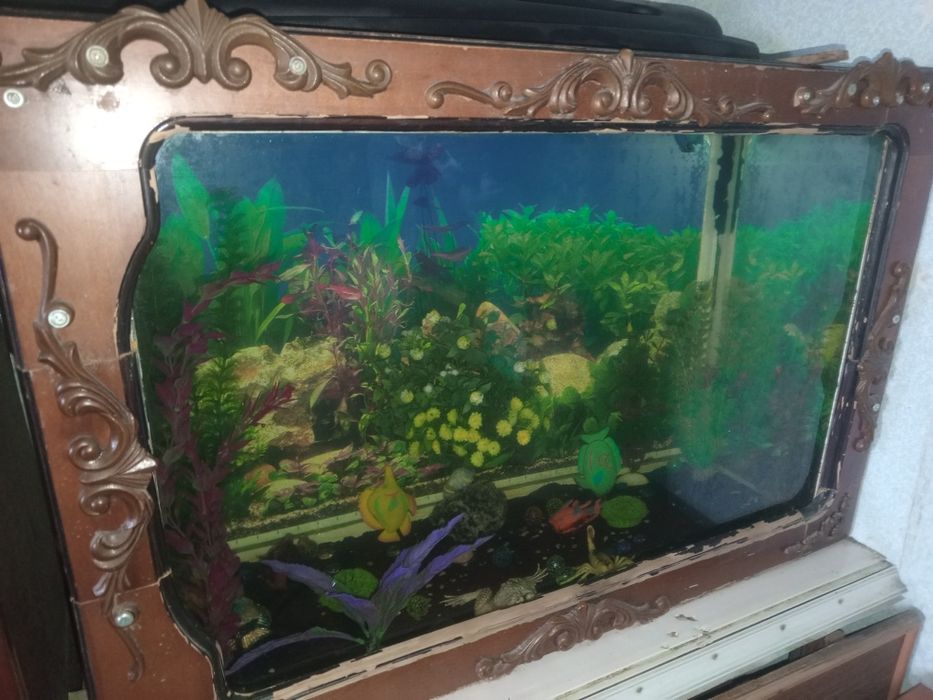 Продам аквариум ручной работы
