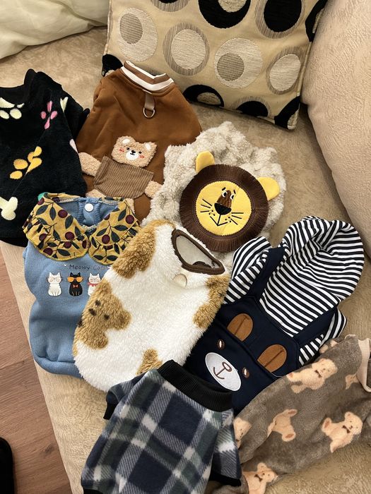 Кофтинки, на вашого улюбленця