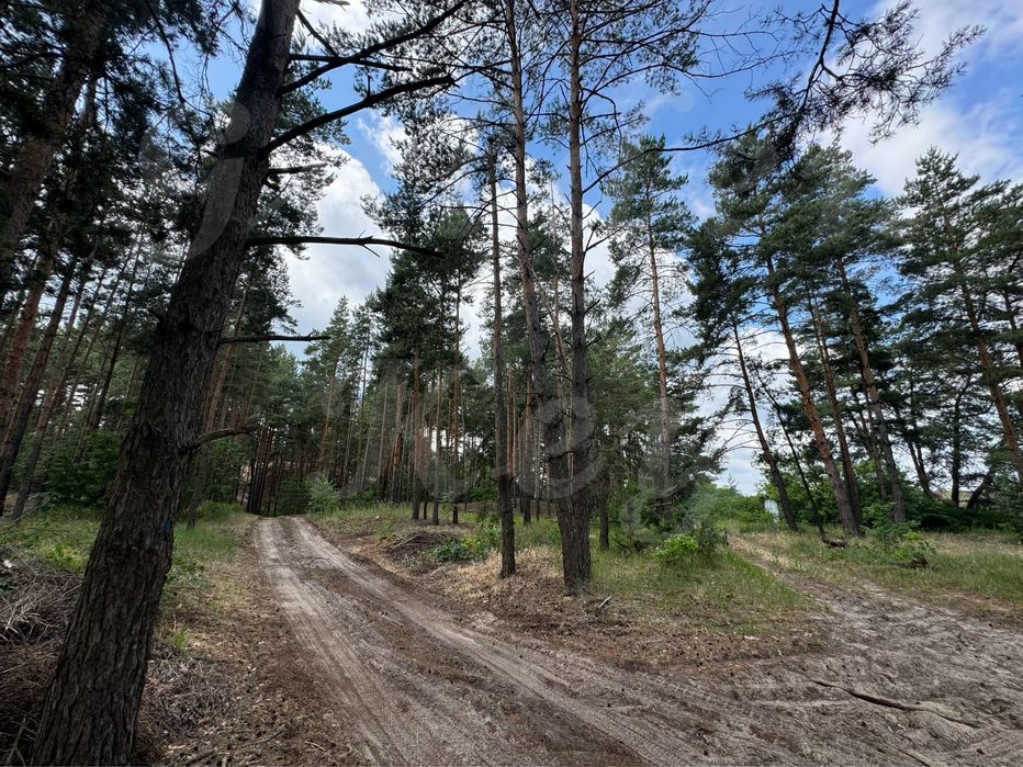 Продам НАЙКРАЩІ ділянки в МАЛЬОВНИЧОМУ місці, 27соток ,с.Проців, ЛІС