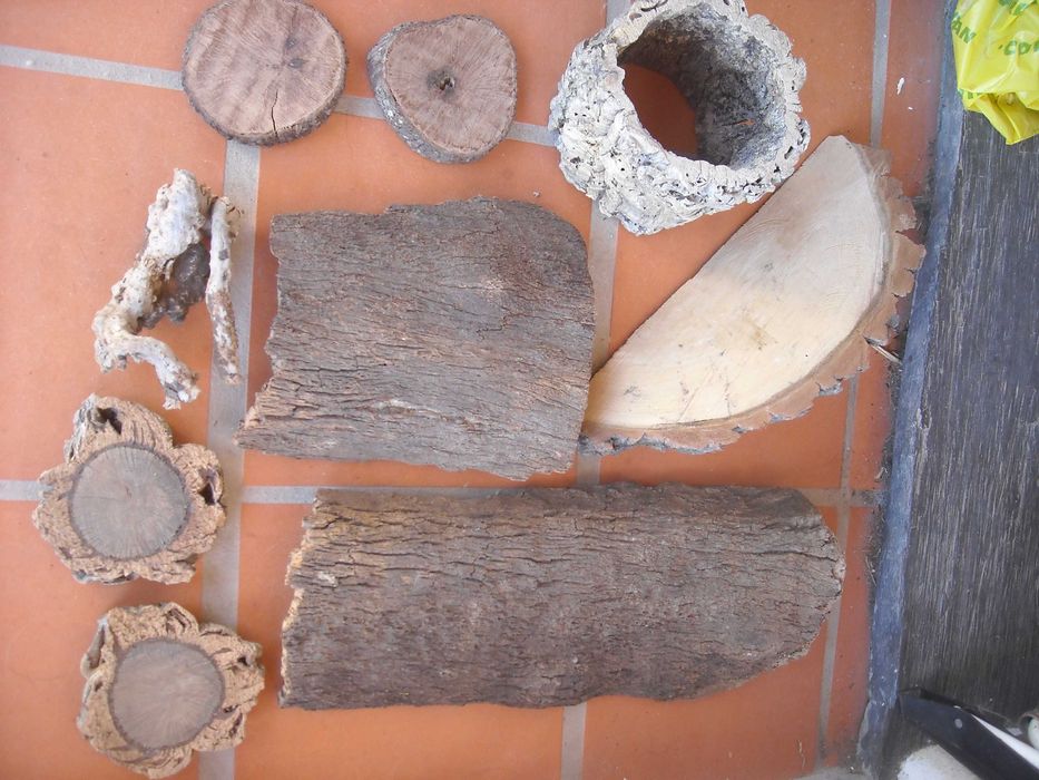 Casca rodela tronco fatia cortiça aquario terrario decoraçao