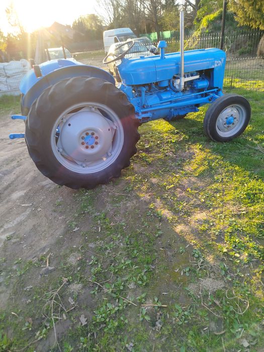 Ford Fordson Dexta Łódź Widzew • OLX.pl