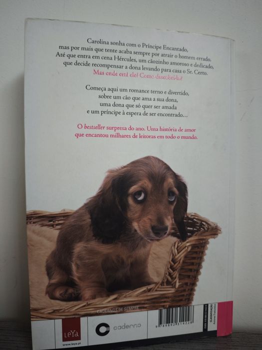 Cão procura príncipe encantado para dona espetacular