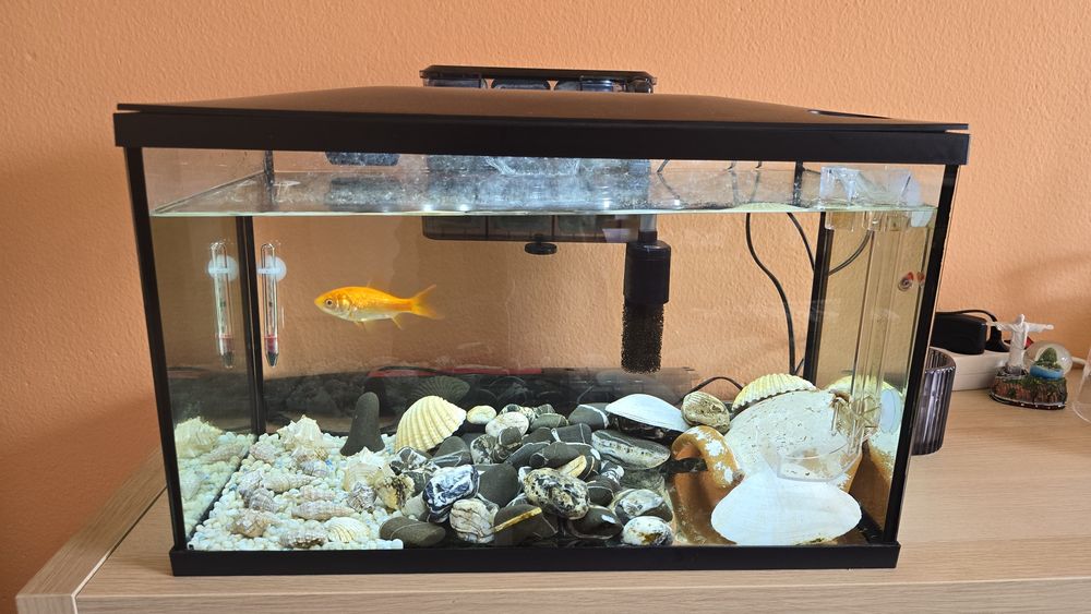 Vendo aquário completo com caixa