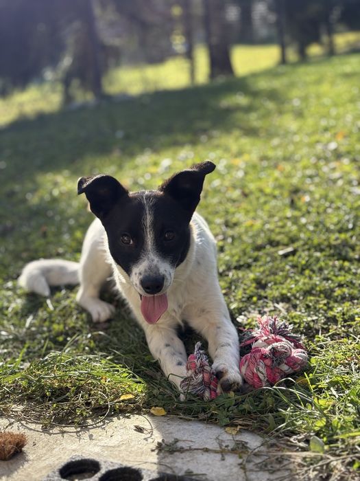 Jacuś, 8-miesięczny bąbel