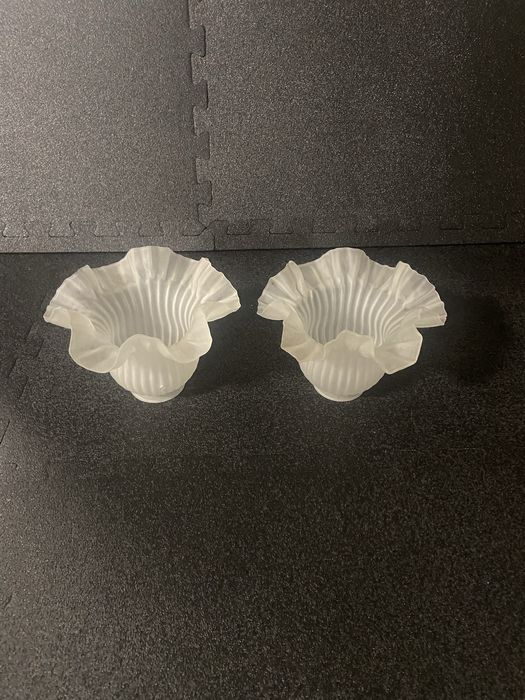 Par de tulipas antigas