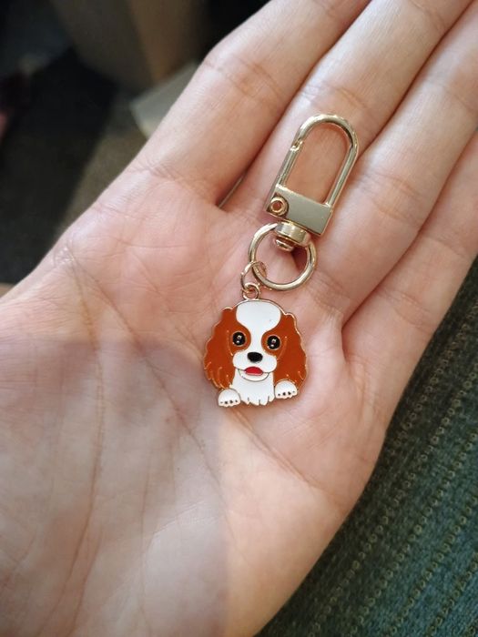 Nowy brelok pies
