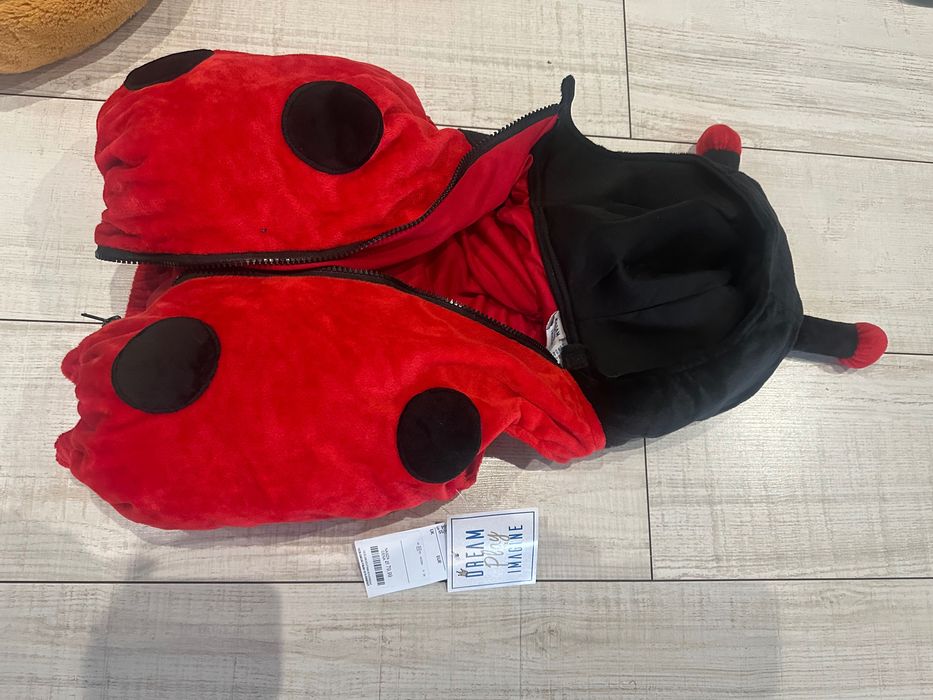 Przebranie Biedronka