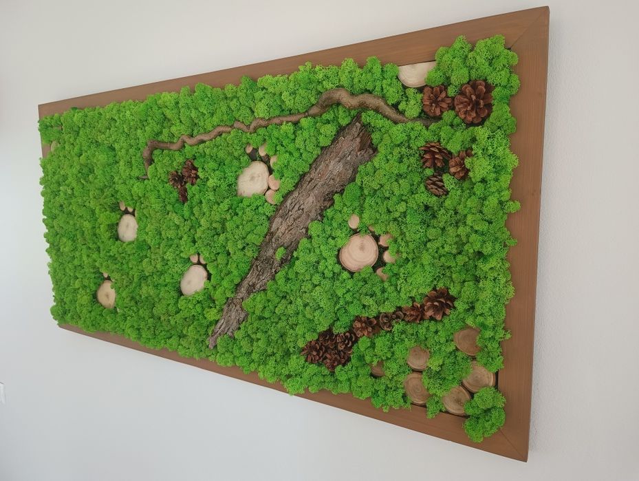 Obraz w drewnianej ramie 165x66 cm mech chrobotek