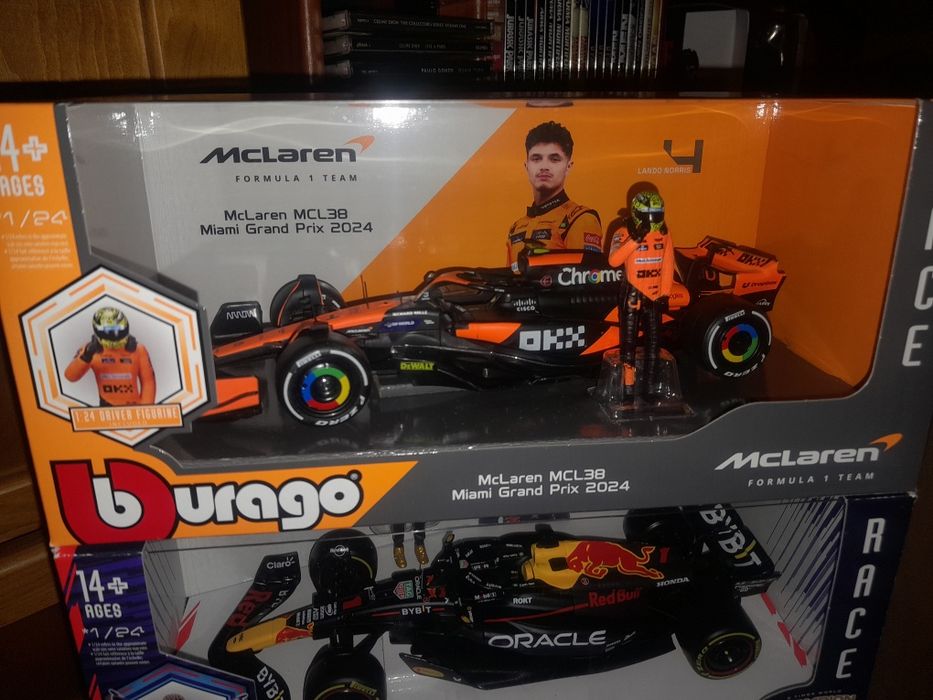 Novo f1 norris com piloto