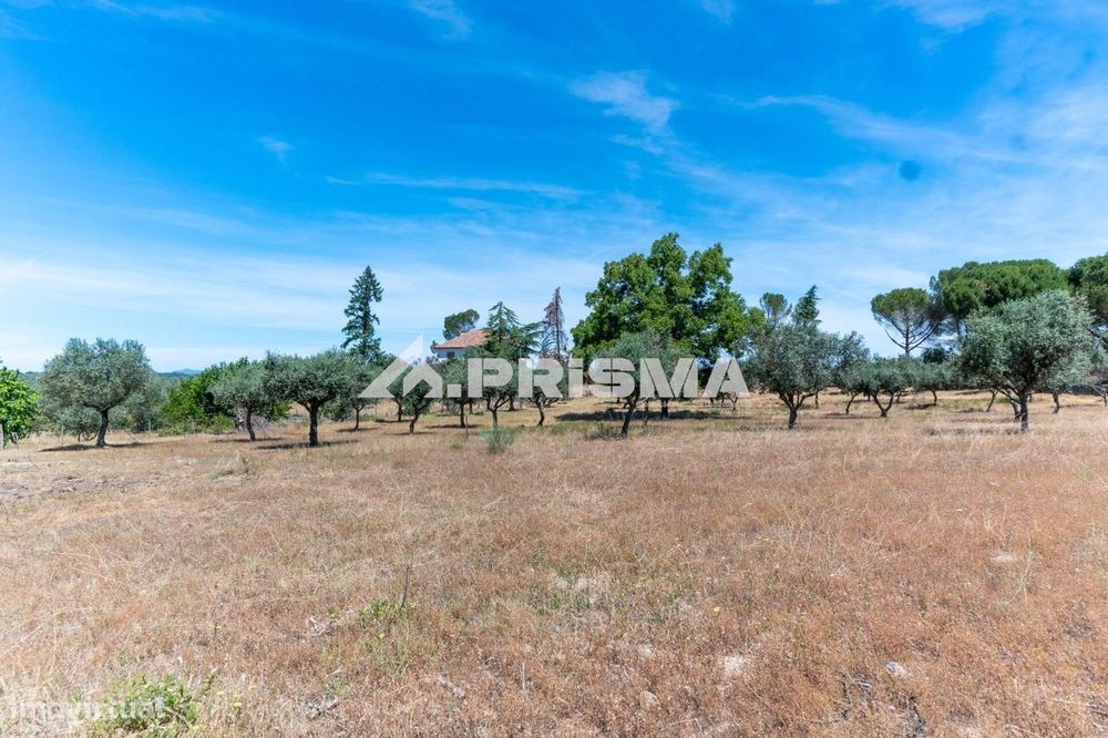 Herdade para Venda em Castelo Branco